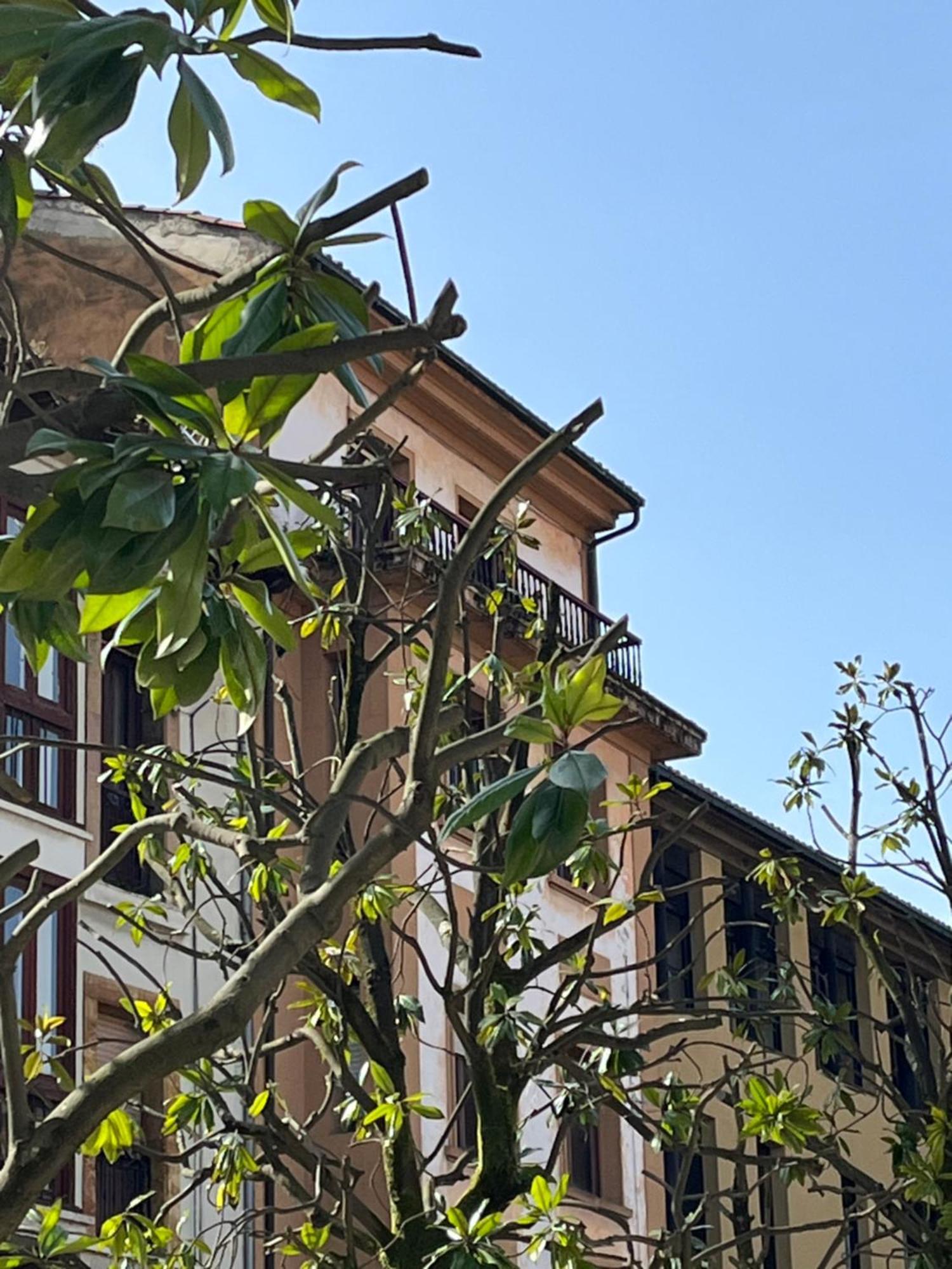 Apartamento Salsipuedes-La Catedral Oviedo Dış mekan fotoğraf